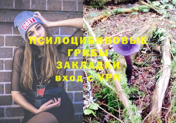 спиды Баксан